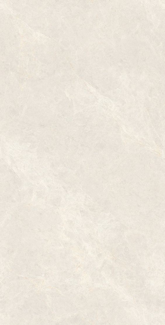 象牙玉兰产品图
