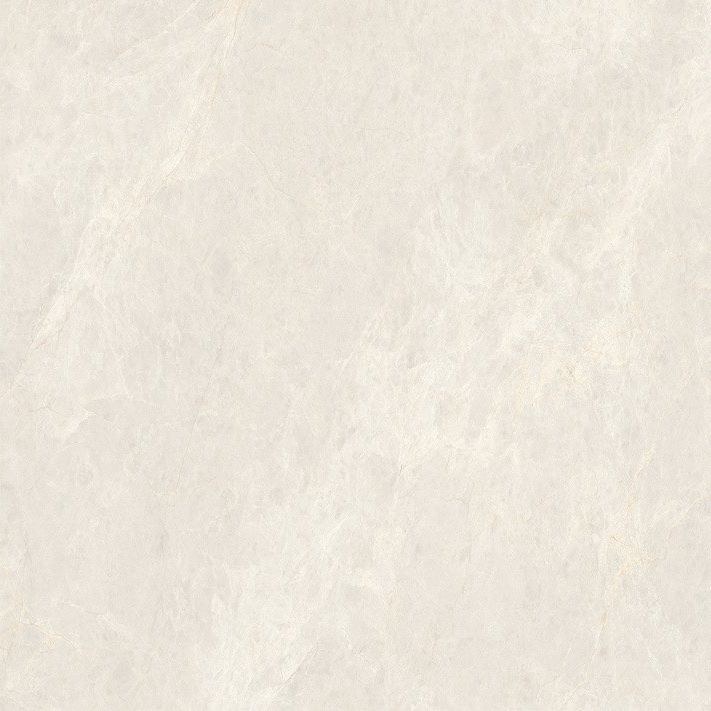 象牙玉兰产品图